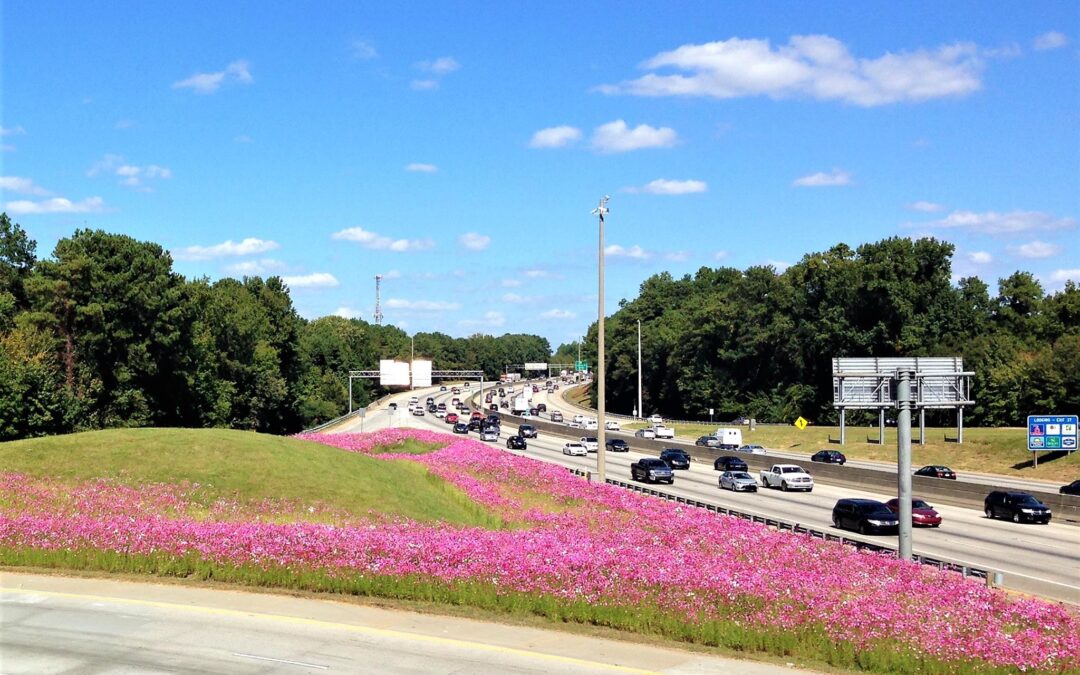 State Wildflower Program Blooms at Lawrenceville Hwy & I-285