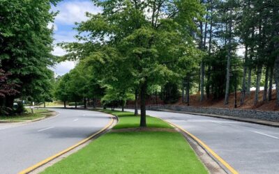 Well Maintained Landscaping Makes a Difference