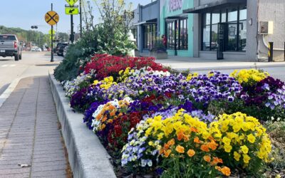 Flowers on Main Street in Downtown Tucker