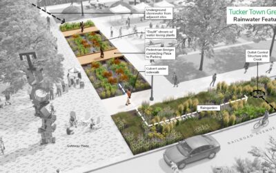 Envisioning a Town Green: The Benefits of Green Infrastructure